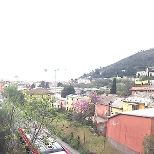 Martino Levanto